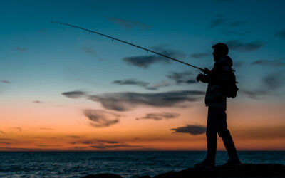 The Best Fishing Season: A Guide to Angler’s Paradise